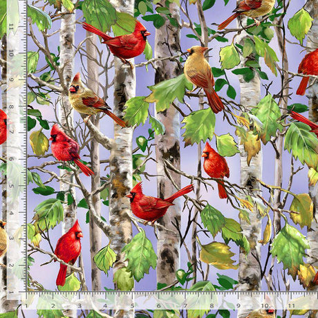 Quilting Cotton Cardinal on Birch Tree Timeless Treasures