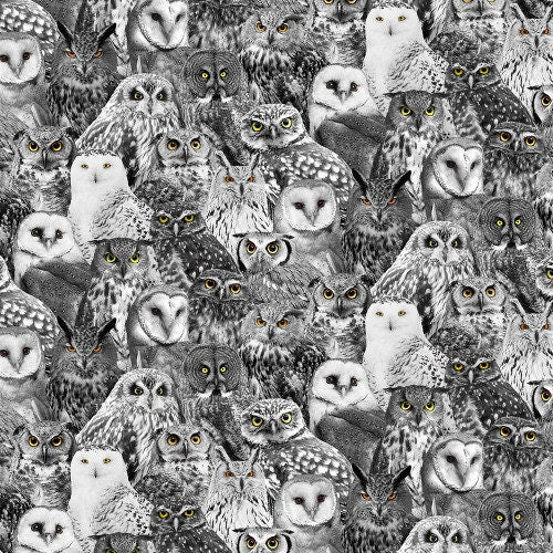 Quilting Cotton Wicked Halloween Packed Owls Black Timeless Treasures