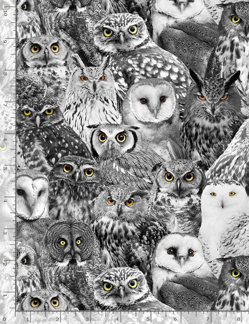 Quilting Cotton Wicked Halloween Packed Owls Black Timeless Treasures