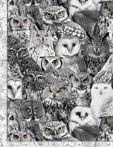 Quilting Cotton Wicked Halloween Packed Owls Black Timeless Treasures