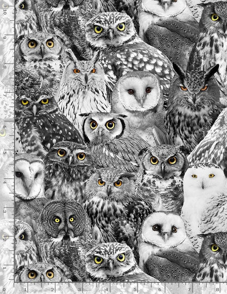 Quilting Cotton Wicked Halloween Packed Owls Black Timeless Treasures