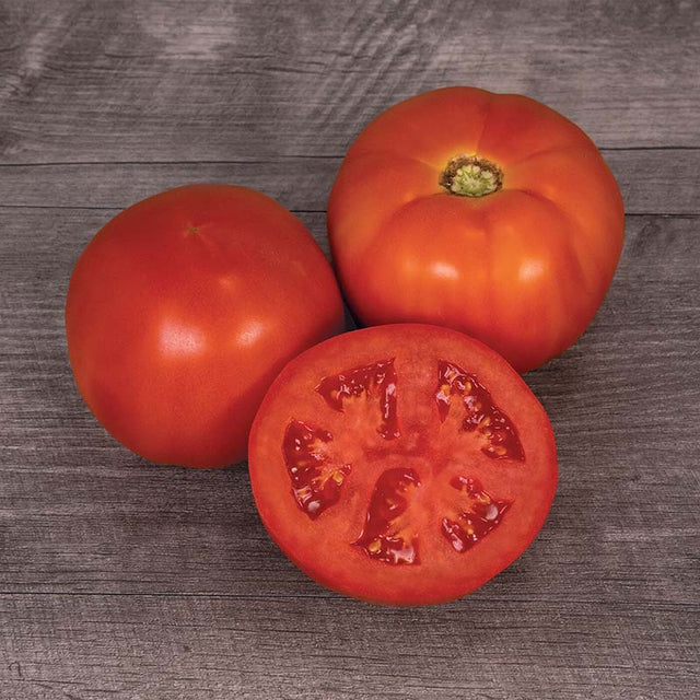 Tomato Mountain Man F1 Raw Untreated - 5,000 seeds
