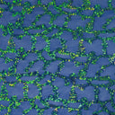 Toni Stretch Mesh Sequin Polyester Fabric - All-Over Sequin Mesh, 58/60" Width, 92% Polyester 8% Spandex, 1 Yard