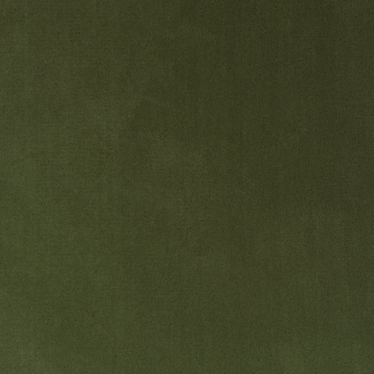 Polyester Upholstery Velvet Fabric Dresden Vegan Mohair