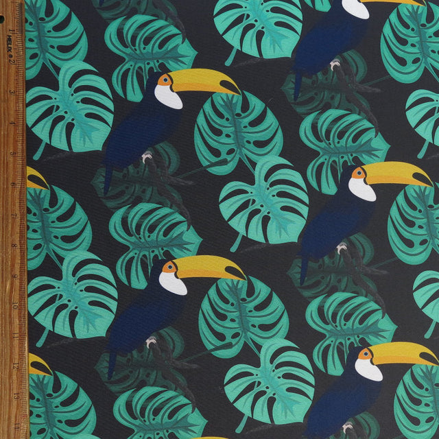 Swim Knit Poly Spandex Toucans and Monstera Leaves