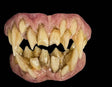Bitermares - Horror Teeth Appliance - Halloween Demon