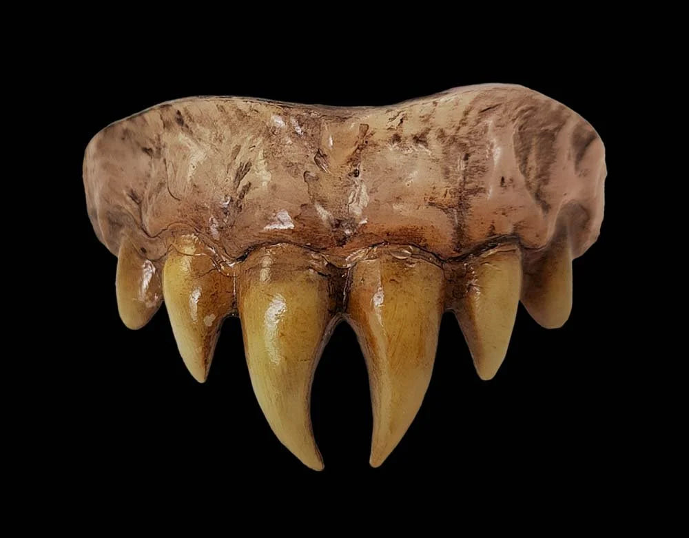 Bitermares - Horror Teeth Appliance - Vampire Master
