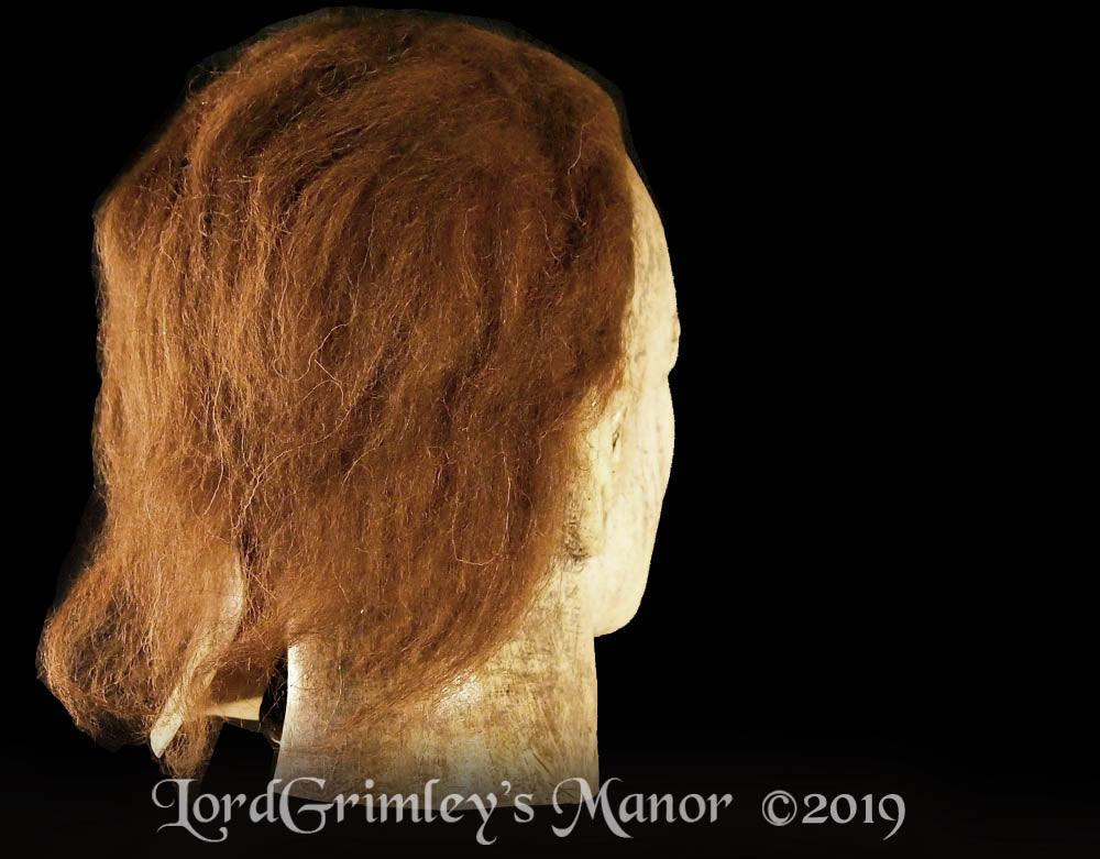 Halloween 2018 - Michael Myers Mask