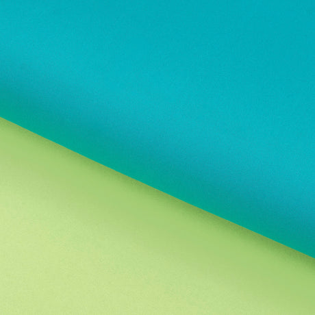 Twin Flo 2-Tone Recycled Polyester Nylon Spandex Fabric - Reversible 2-Tone, 57" Width, 240 GSM (1 Yard)