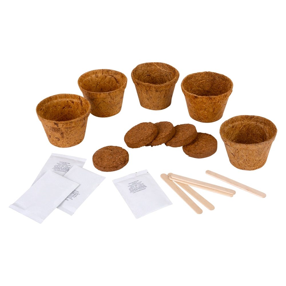 Grow It Cactus Kit