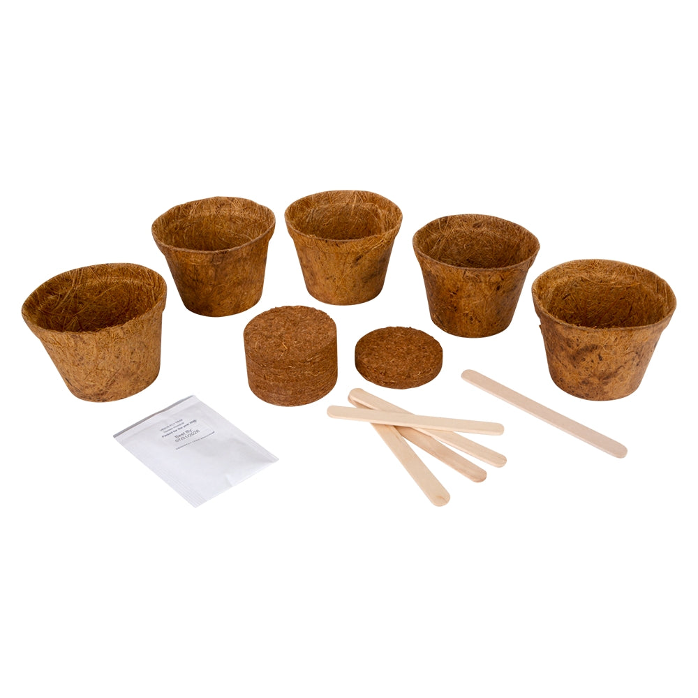 Carnivorous Plant Grow It Kit