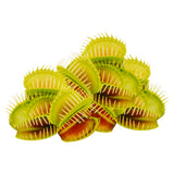 Carnivorous Plant Grow It Kit