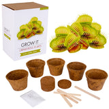 Carnivorous Plant Grow It Kit