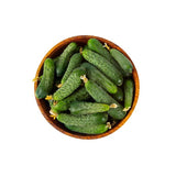 Pioneer F1 Hybrid Cucumber Seeds Heirloom Pickling Cucumber High Yield Cucumis Sativus Open Pollinated Non GMO