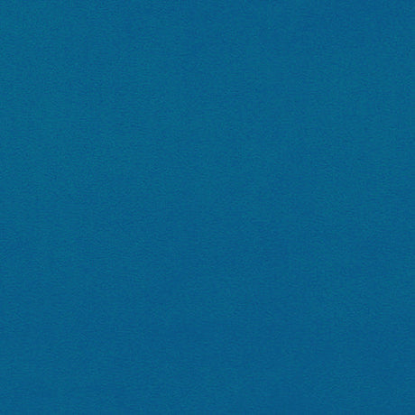 Microfiber Suede Fabric Unisuede 55" Wide
