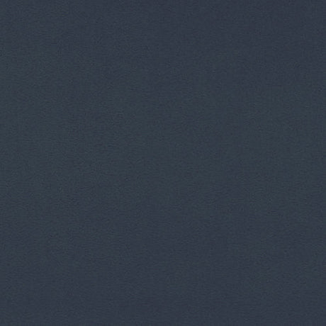 Microfiber Suede Fabric Unisuede 55" Wide