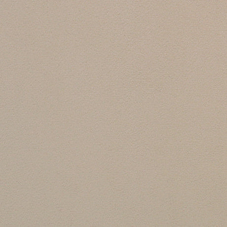 Microfiber Suede Fabric Unisuede 55" Wide