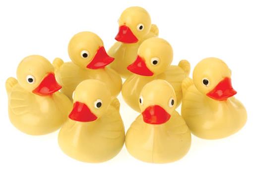 Fun Duck Pond Floaters for Carnival Games Pool Parties and Themed Celebrations