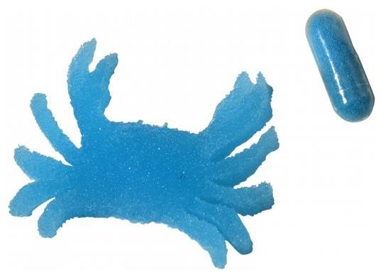 Magic Grow Sea Animal Capsules for Kids Fun Educational Activities and Ocean Themed Events