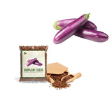 Eggplant Long Purple Seeds 200 Plus Vegetable Garden Heirloom Non GMO USA
