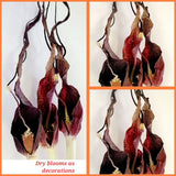 Voodoo Lily Bulbs Sauromatum venosum Various Sizes