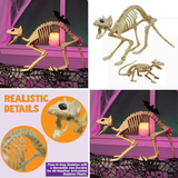 Skeleton Cat Halloween Decoration – 18" x 5.5" x 10.25"