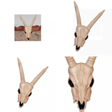 Skeleton Gazelle Head Halloween Decoration, 12" x 18"