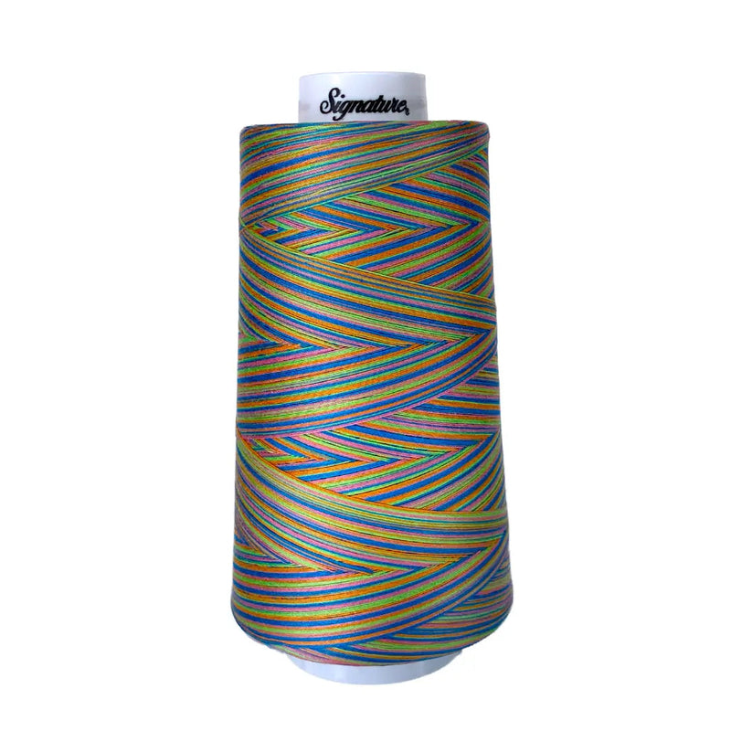 Cotton Variegated Thread Summery Fun Signature