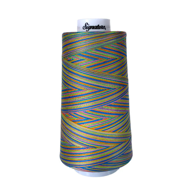 Cotton Variegated Thread Summery Fun Signature