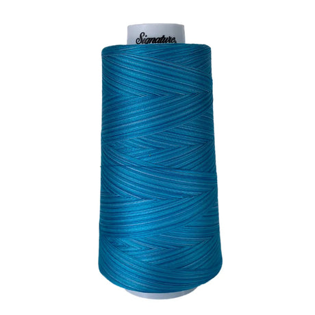 Cotton Variegated Thread Dreamy Blues Blues & Turquoises