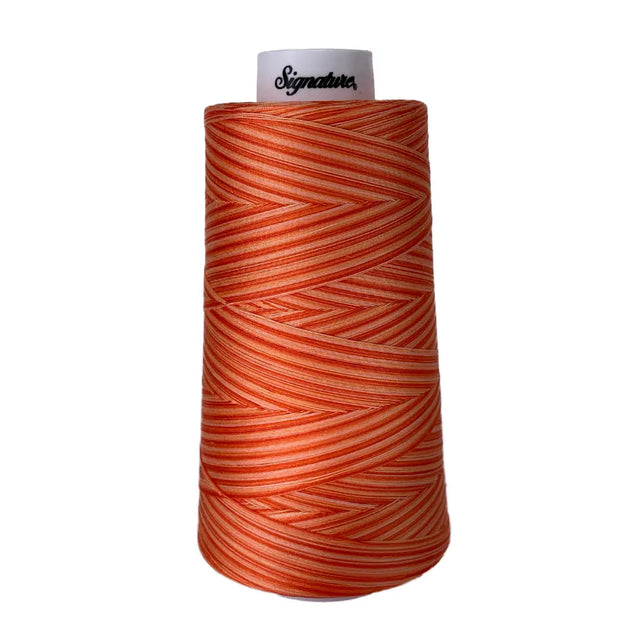 Cotton Variegated Thread Orange Craze 3000 Yards