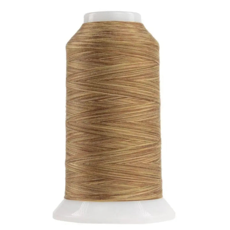Variegated Polyester Thread Palomino Omni