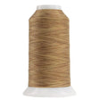 Variegated Polyester Thread Palomino Omni