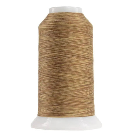 Variegated Polyester Thread Palomino Omni