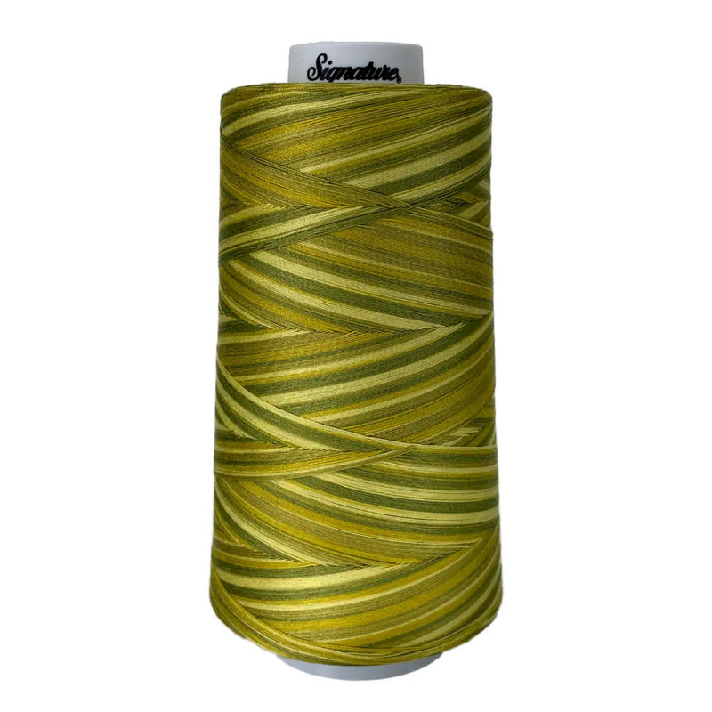 Cotton Variegated Thread Sun Lime Splash