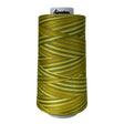 Cotton Variegated Thread Sun Lime Splash