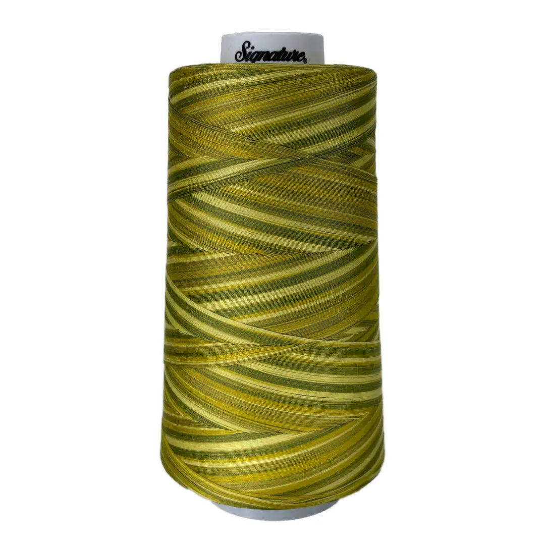 Cotton Variegated Thread Sun Lime Splash