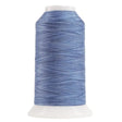 Polyester Thread Baby Benjamin Variegated