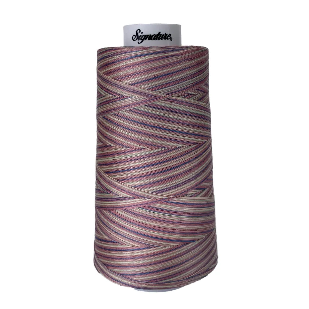 Cotton Variegated Thread Victorian Variegated