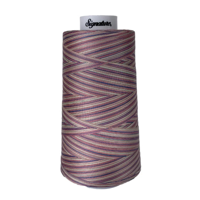 Cotton Variegated Thread Victorian Variegated