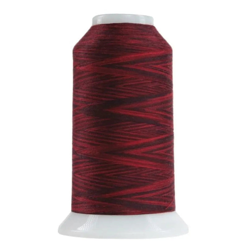 Polyester Thread Red Robin Variegated Quilting Thread