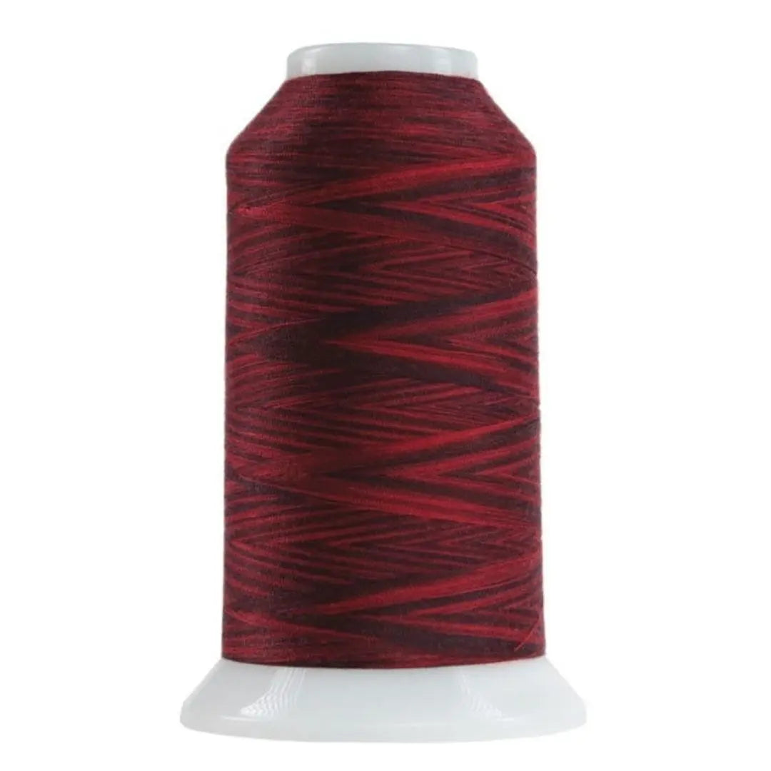Polyester Thread Red Robin Variegated Quilting Thread