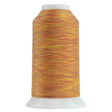 Polyester Thread Sweet Potato Omni Variegated