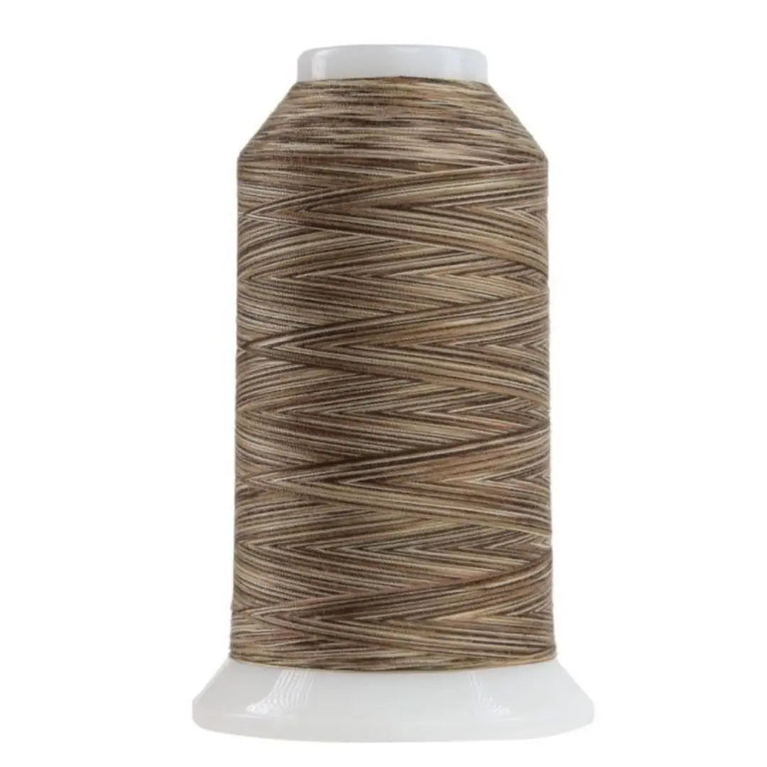 Polyester Quilting Thread Would Chuck Wood Variegated