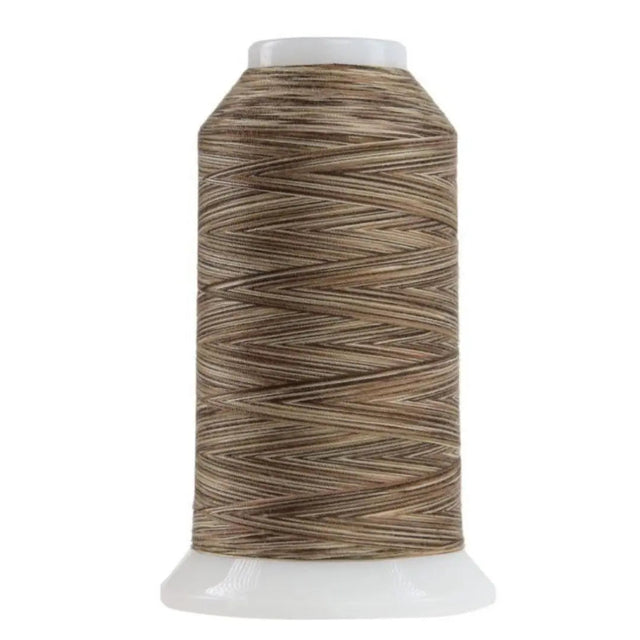 Polyester Quilting Thread Would Chuck Wood Variegated