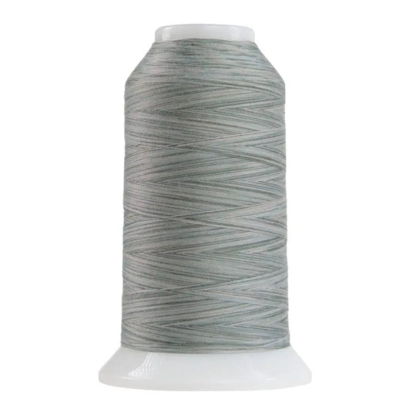 Polyester Thread Silver Mist Variegated