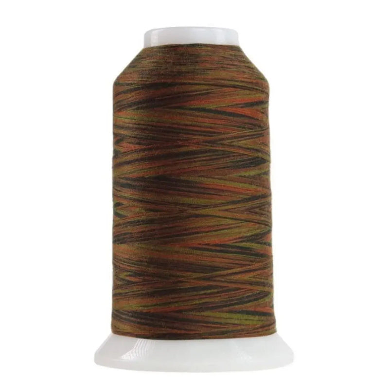 Polyester Thread Variegated Ottoman Omni