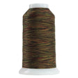 Variegated Polyester Thread Nebuchadnezzar Omni
