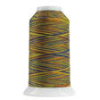 Polyester Thread Parakeet Variegated Quilting Cone