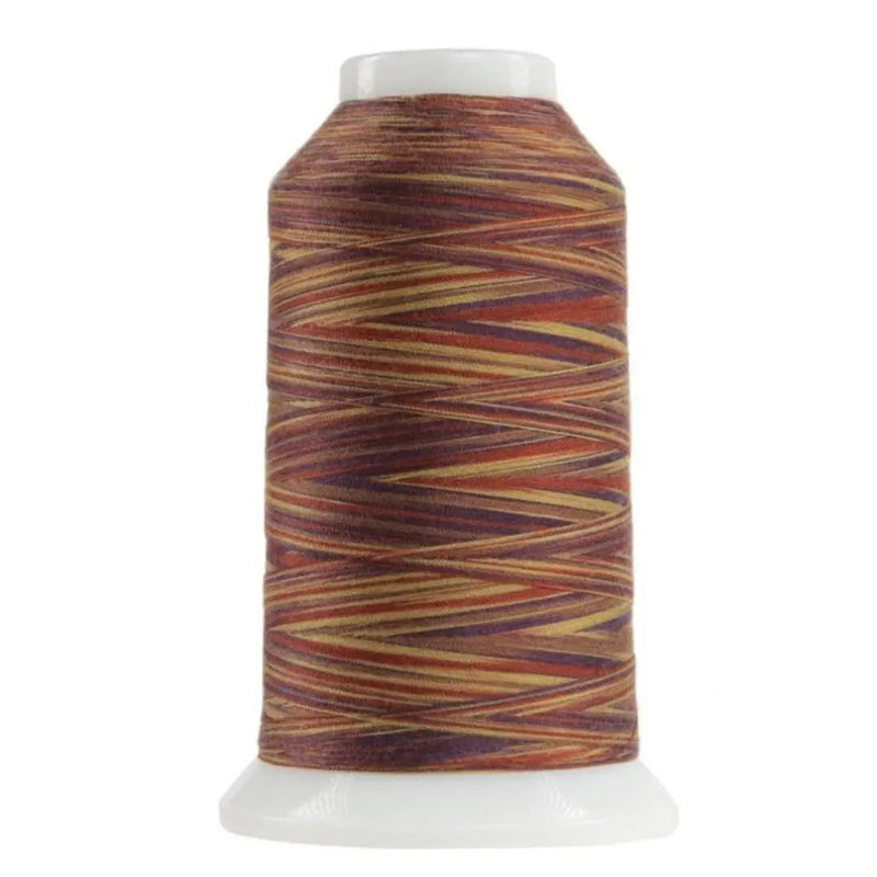 Variegated Polyester Thread 40 Weight Chenille Omni